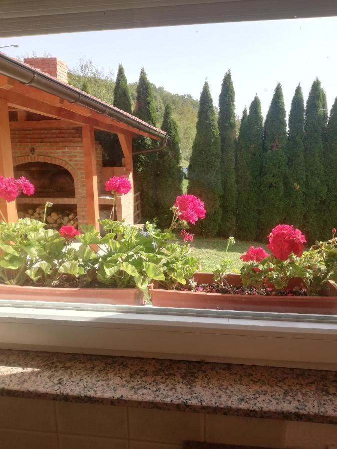 Holiday Homer Kuca Na Obali Vrbasa Banja Luka Exteriér fotografie